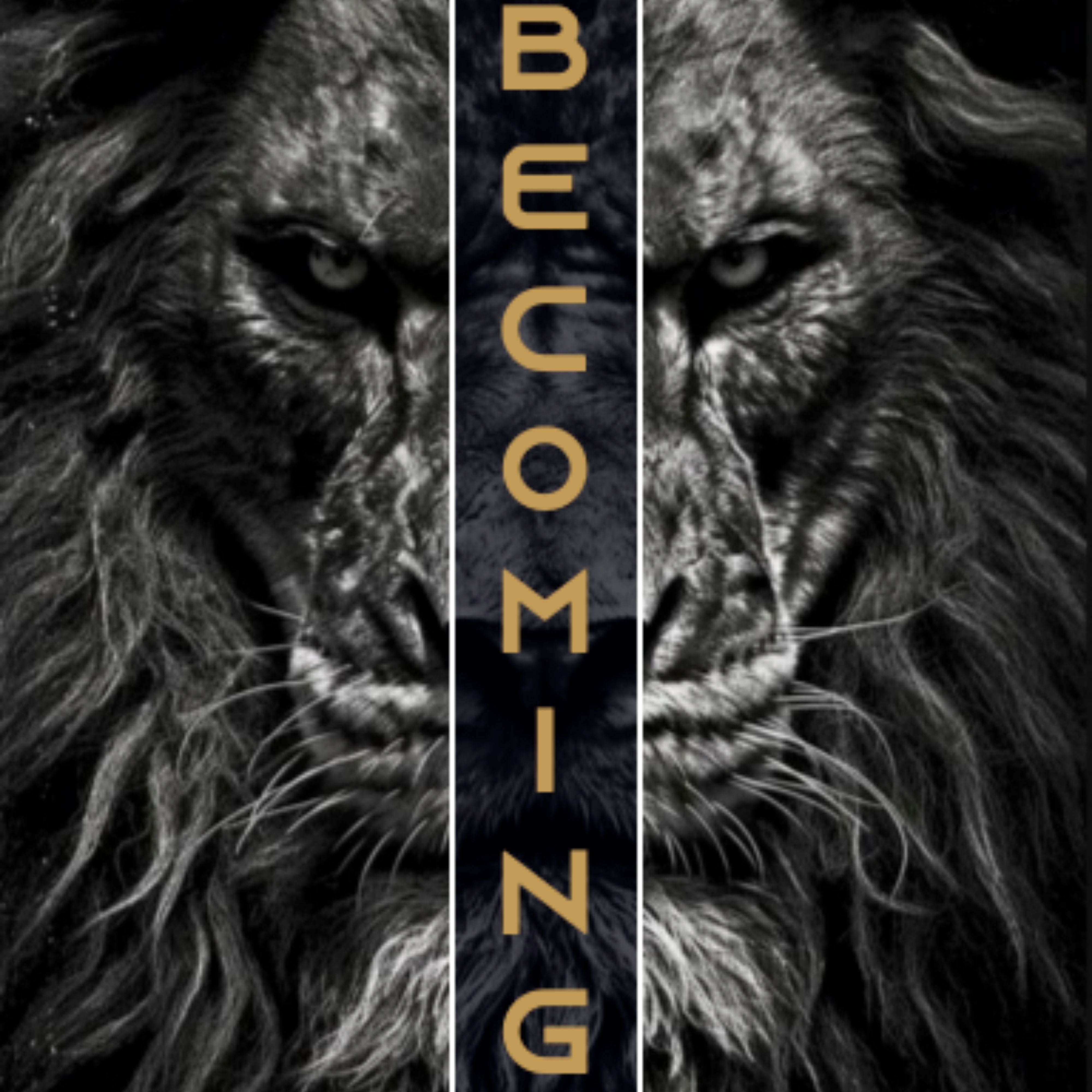 FLOW S HHP Haze Becoming eBook