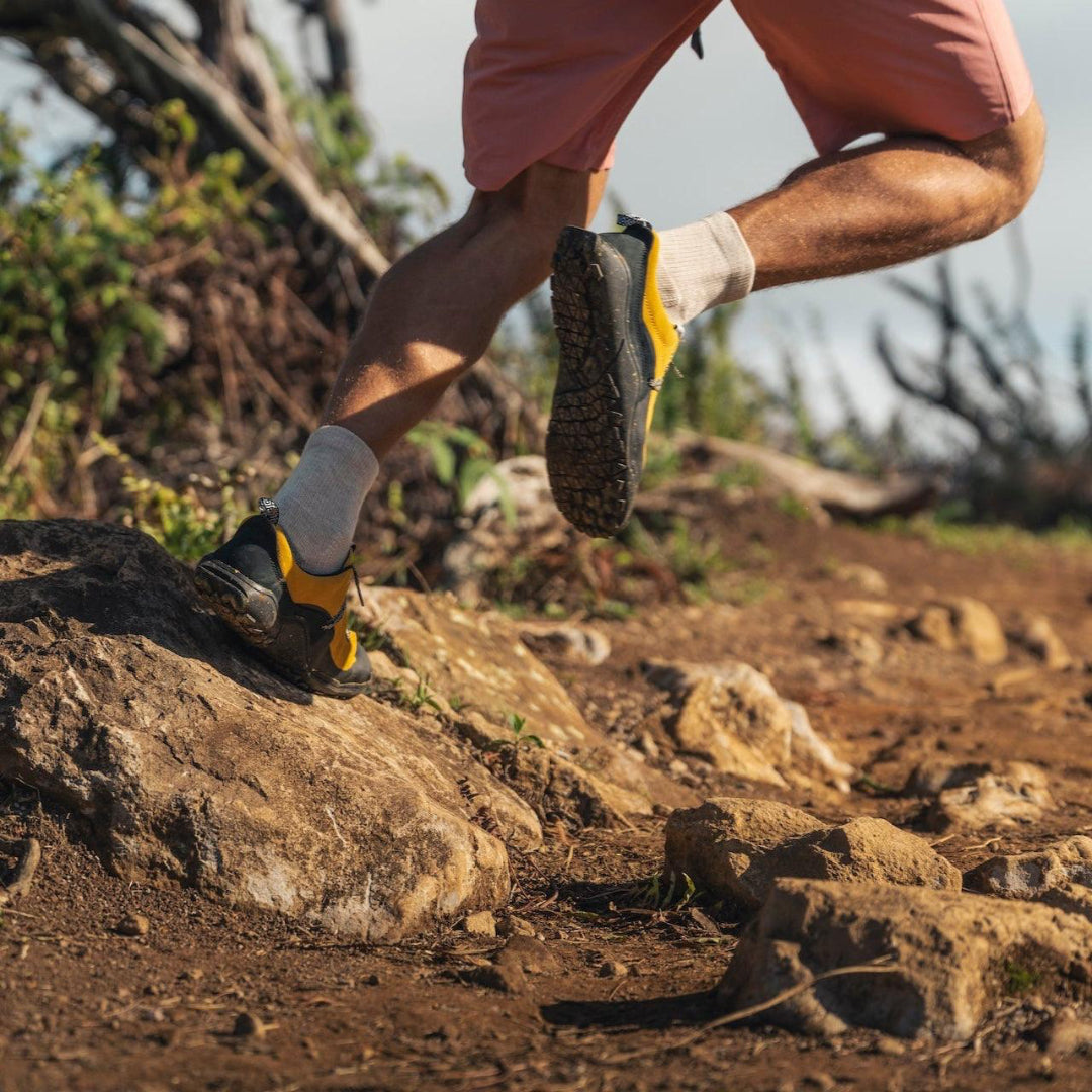 WILD Mustard Launching