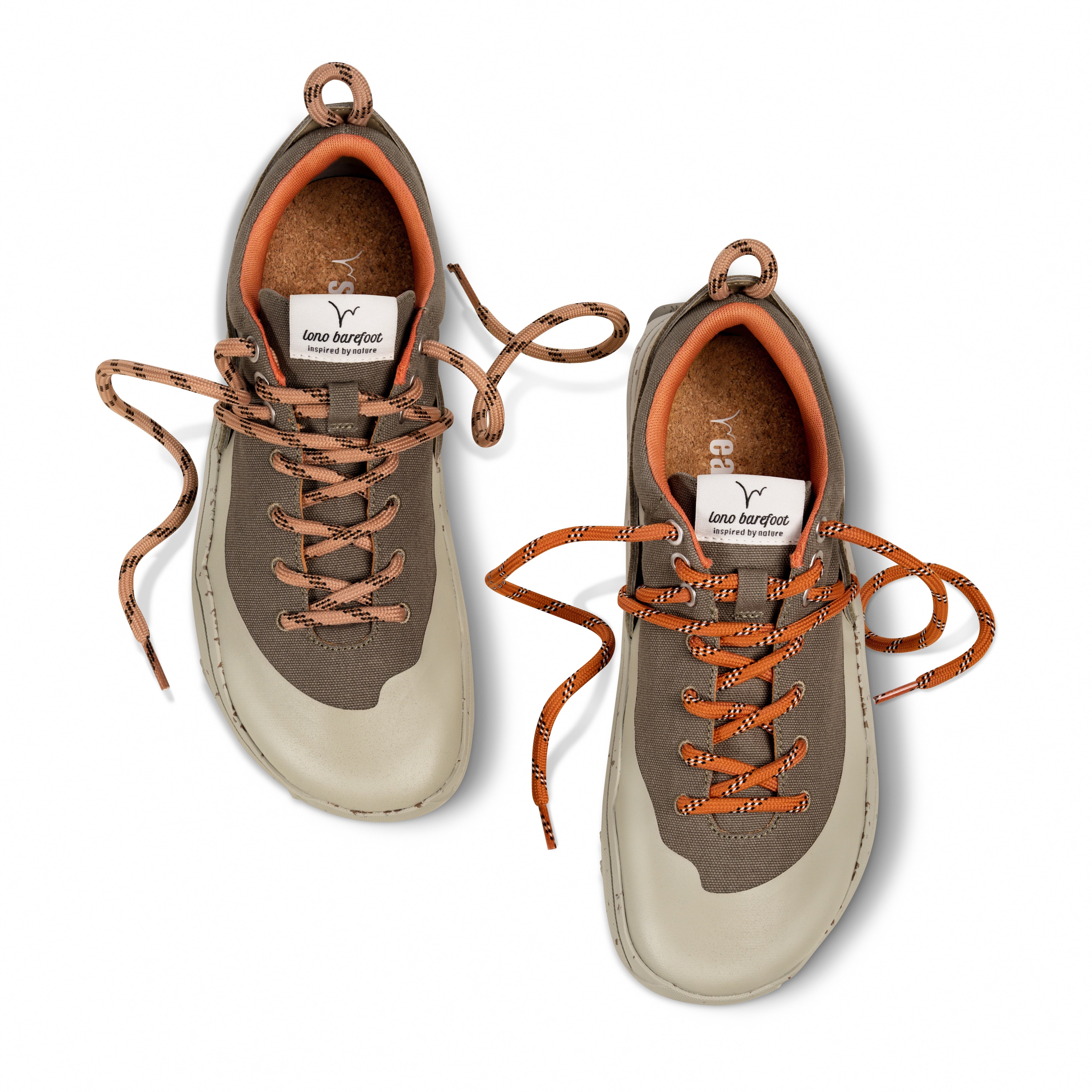 WILD Lite Valley Top View